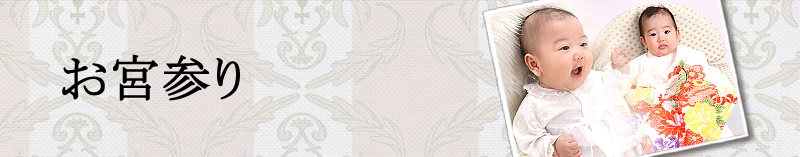 ���{�Q��E���{�Q��L�O�ʐ^�̃y�[�W