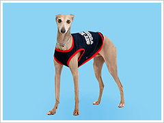 �y�b�g�Ƃ̋L�O�ʐ^�T���v��1