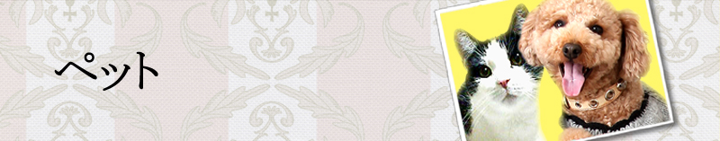 �y�b�g�Ƃ̋L�O�ʐ^�̃y�[�W